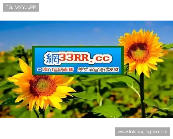 bg视讯登录入口最新活动优惠信息，丰富您的线上娱乐体验